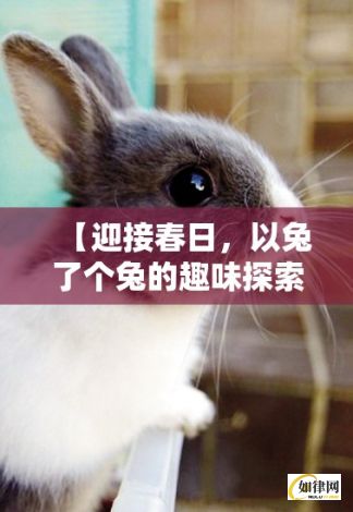 【迎接春日，以兔了个兔的趣味探索春季田园生活】自然、兔子和新生活的完美融合